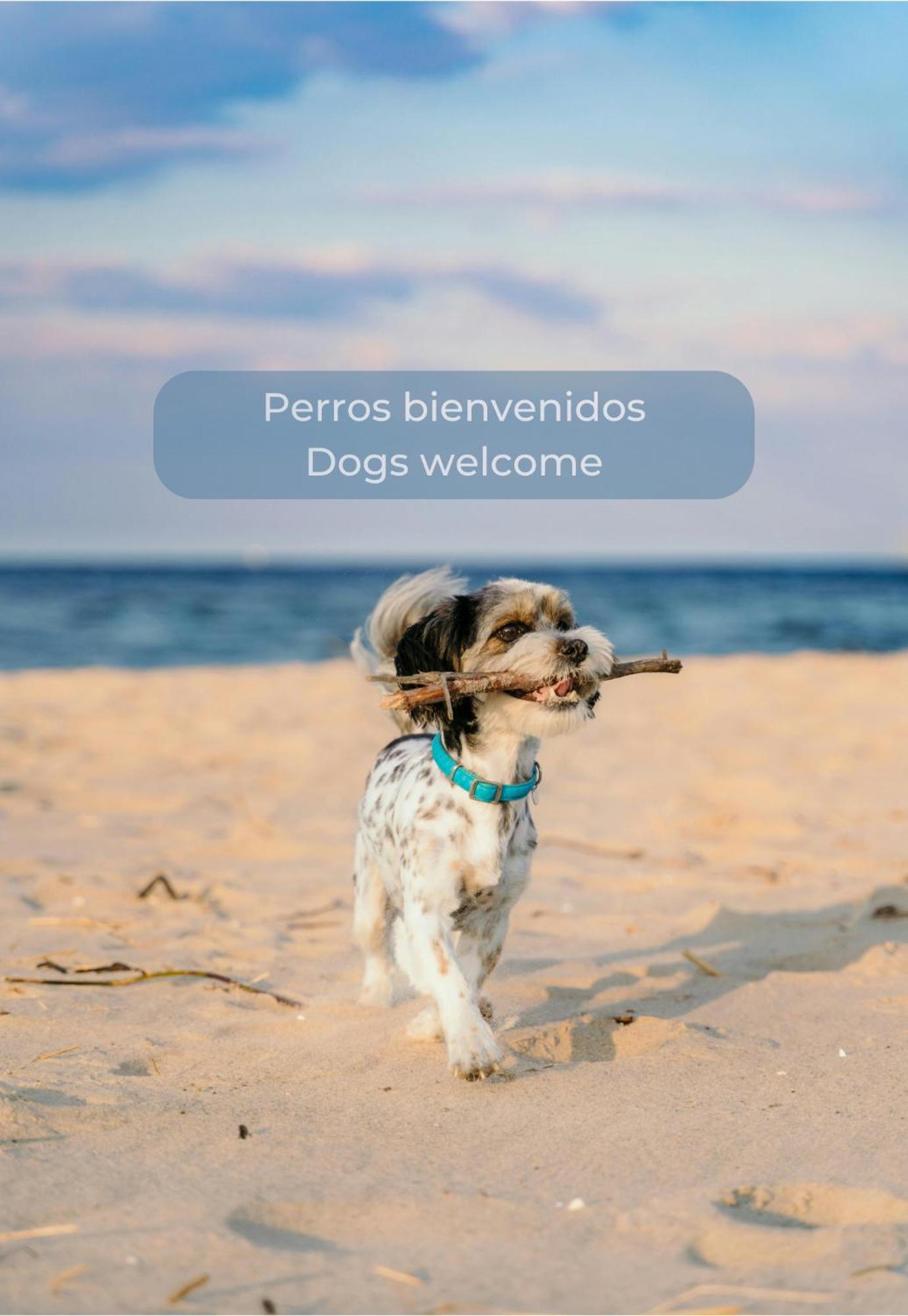 Cotillo Sol En El Centro Del Cotillo, 1 Minuto De La Playa, 2 Habitaciones, Terraza Y Wifi エクステリア 写真
